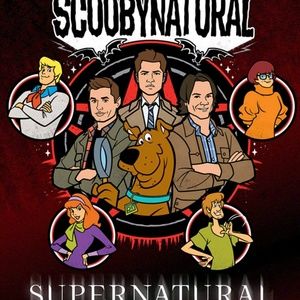 Meet your Posher, Kari